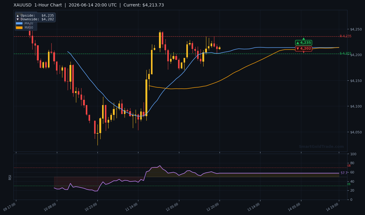XAUUSD 1-Hour Technical Analysis Chart
