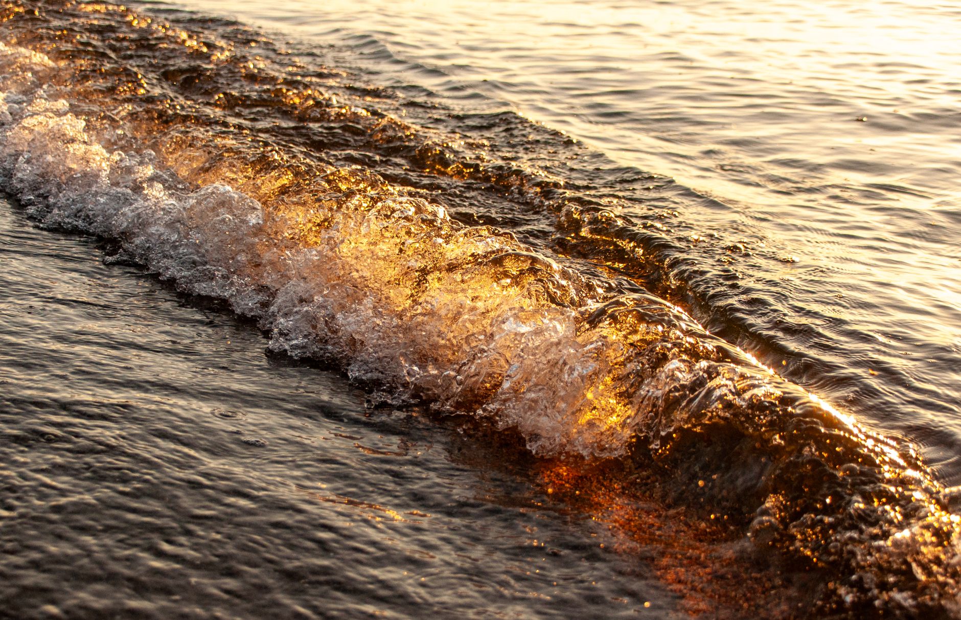 Close-up of a wave at sunset with golden light reflecting on sea water.